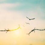 Mücadele ve teslimiyet